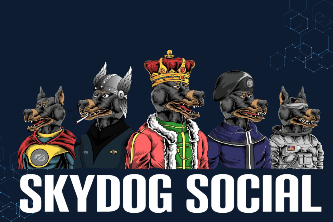 From the Diary of SKYDOG SOCIAL: Where Art Meets Innovation